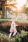 Holiday Mini session